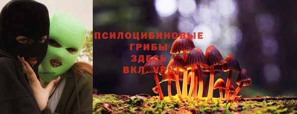 спиды Алексеевка