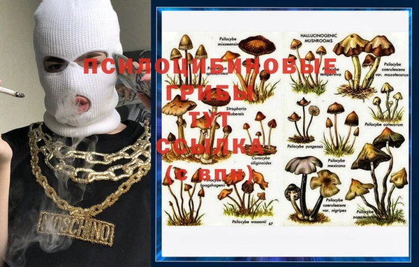шишки Горняк