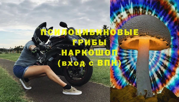 PSILOCYBIN Алзамай