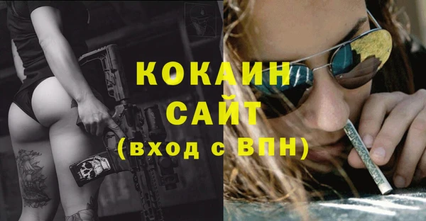 ECSTASY Гусев
