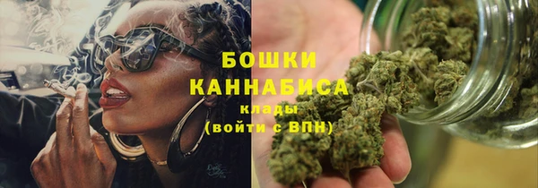 PSILOCYBIN Алзамай
